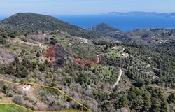 Skopelos, Thessaly 37003