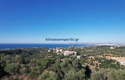Chania, Kríti 731 00