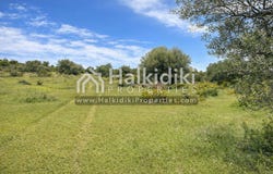 Vatopedi, Central Macedonia 63071