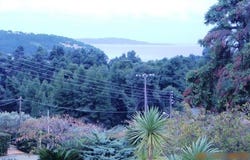 Kassandra, Chalkidiki 63077