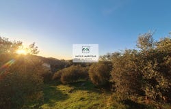 Karniaris, Ionian Islands 49100