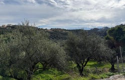 Stalos, Crete 73014