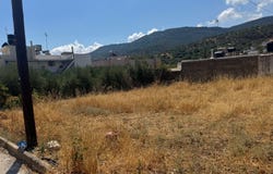 Kritsa, Crete 72051