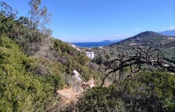 Vathi, Crete 72100