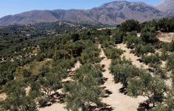 Vrises, Crete 73007