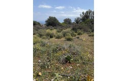 Rousa Limni, Crete 72100
