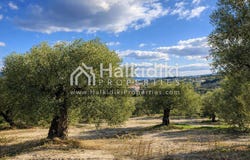 Kassandra, Central Macedonia