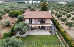Livanates, Central Greece 35007
