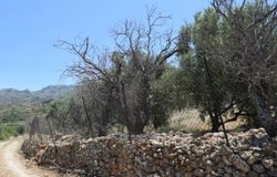 Kato Chorio, Kríti 722 00