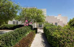 Paros, South Aegean 84400