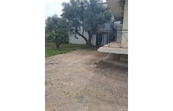 Zachloritika, Western Greece 25003