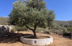 Marathi, South Aegean 84400