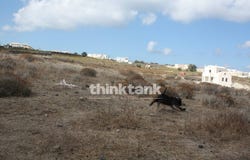 Santorini, Thíra, Aegean 84700
