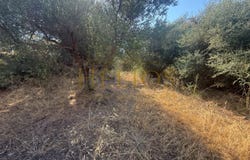 Mathes, Crete 73007