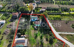 Zachloritika, Western Greece 25003