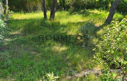 Penteli, Attica (region) 152 39
