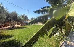 Stavros, Crete