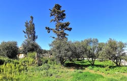 Maleme, Crete 73014