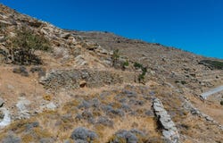 Tinos, South Aegean 84200