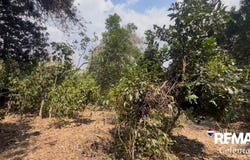 6180 San Bartolomé Becerra, La Antigua Guatemala, Sacatepéquez, La Antigua Guatemala, Sacatepéquez