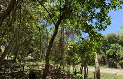 Airport Highway!, Lot C3 Your Elevated Retreat, Utila, utila, Islas de la bahía, utila, Islas de la bahía