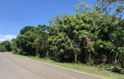 Airport Highway!, Lot C3 Your Elevated Retreat, Utila, utila, Islas de la bahía, utila, Islas de la bahía