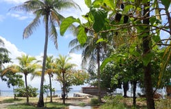 Calabash Bight, Roatan, Islas de la Bahia