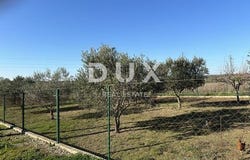 Zadar, Zadarsko-kninska