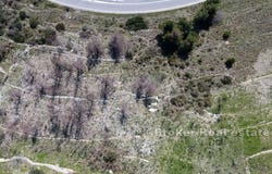 Omi, Split-Dalmatia
