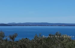 Koino, Zadar