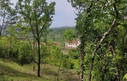 Buzet, Istarska