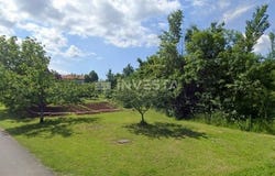 Buzet, Istarska