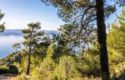 Makarska, Splitsko-dalmatinska