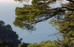 Živogošće, Split-Dalmatia County 21327