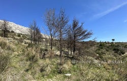 Omi, Split-Dalmatia