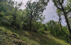 Buzet, Istarska
