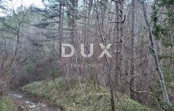Buzet, Istarska