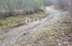 Buzet, Istarska