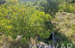 Stari grad, Splitsko-dalmatinska 21465