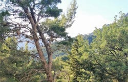 Brela, Split-Dalmatia County 21322