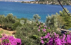 Zadar, Zadarsko-kninska
