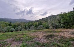 Gračišće, Istarska