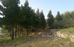 Omi, Split-Dalmatia