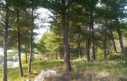 Omi, Split-Dalmatia