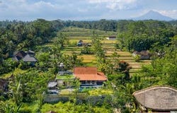 Pejeng Kangin, Bali