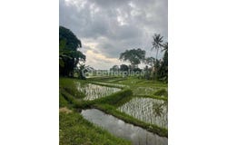 Mengwi, Bali