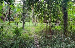 Ubud, Bali