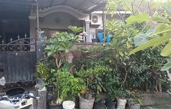 5, Bali