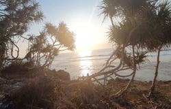 Mangga Nipi, Mangga Nipi, East Nusa Tenggara