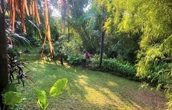Pererenan, Bali 80351